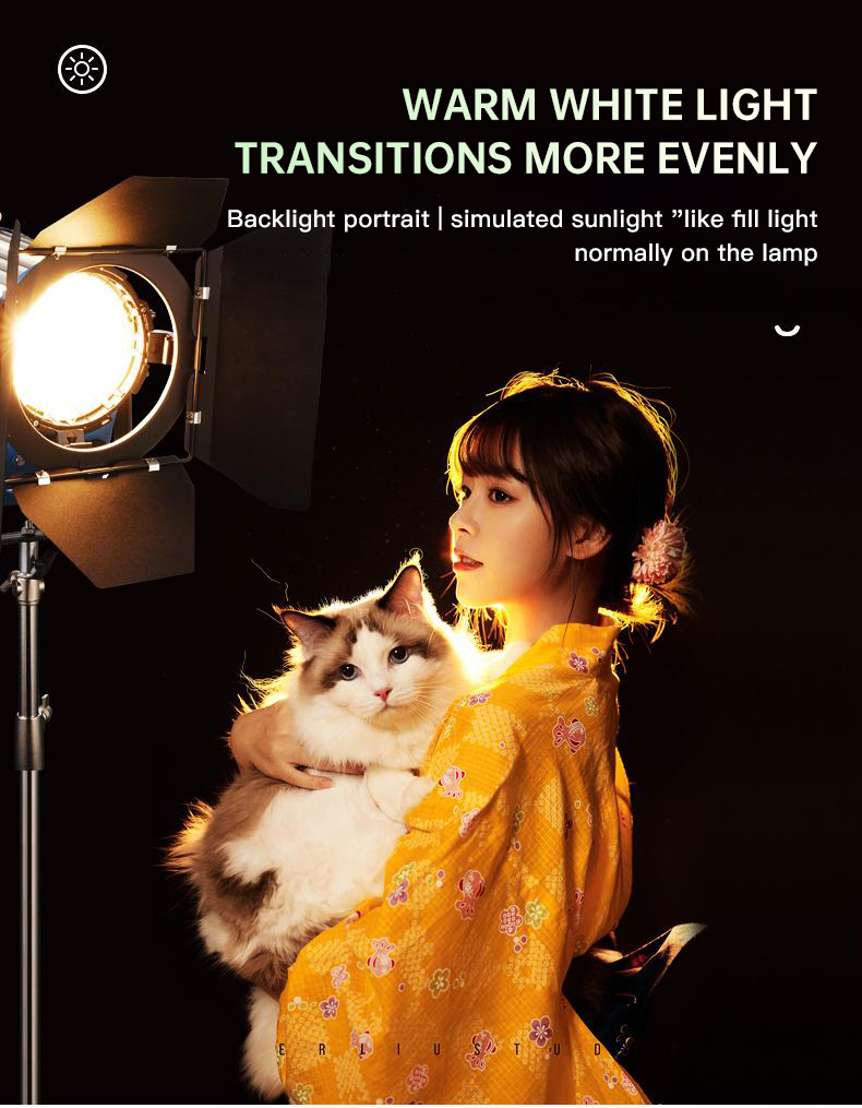 Beiyang 2000W Spotlight Hair L - Photography Lighting For Indoor 评论和价格