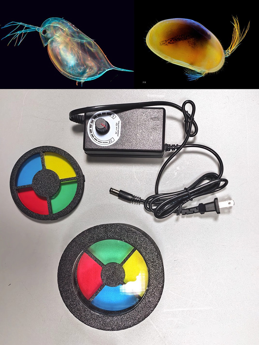 Darkfield Macro Flash for Micr - Photography Lighting Diy 评论和价格