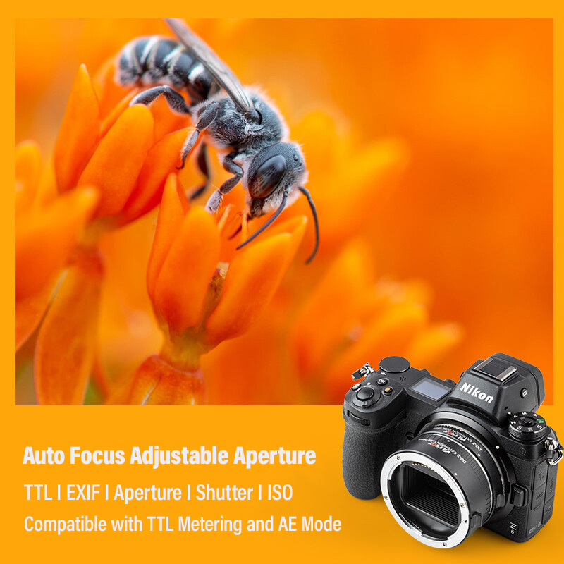 AF Macro Extension Tube Lens A - Nikon Camera Z50 评论和价格