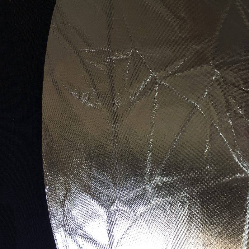 23'' 60CM 2 in 1 Reflector Rou - Reflector Disc Silver 评论和价格
