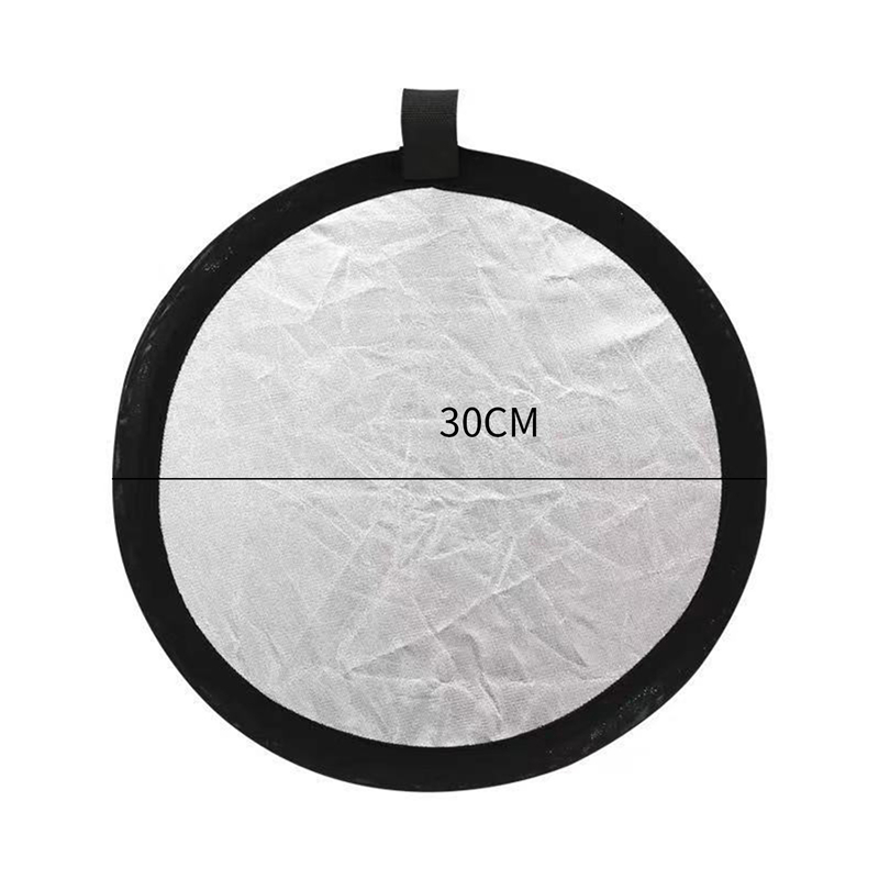 Reflect Reflector 30cm Handhol - Reflector Disc Silver 评论和价格