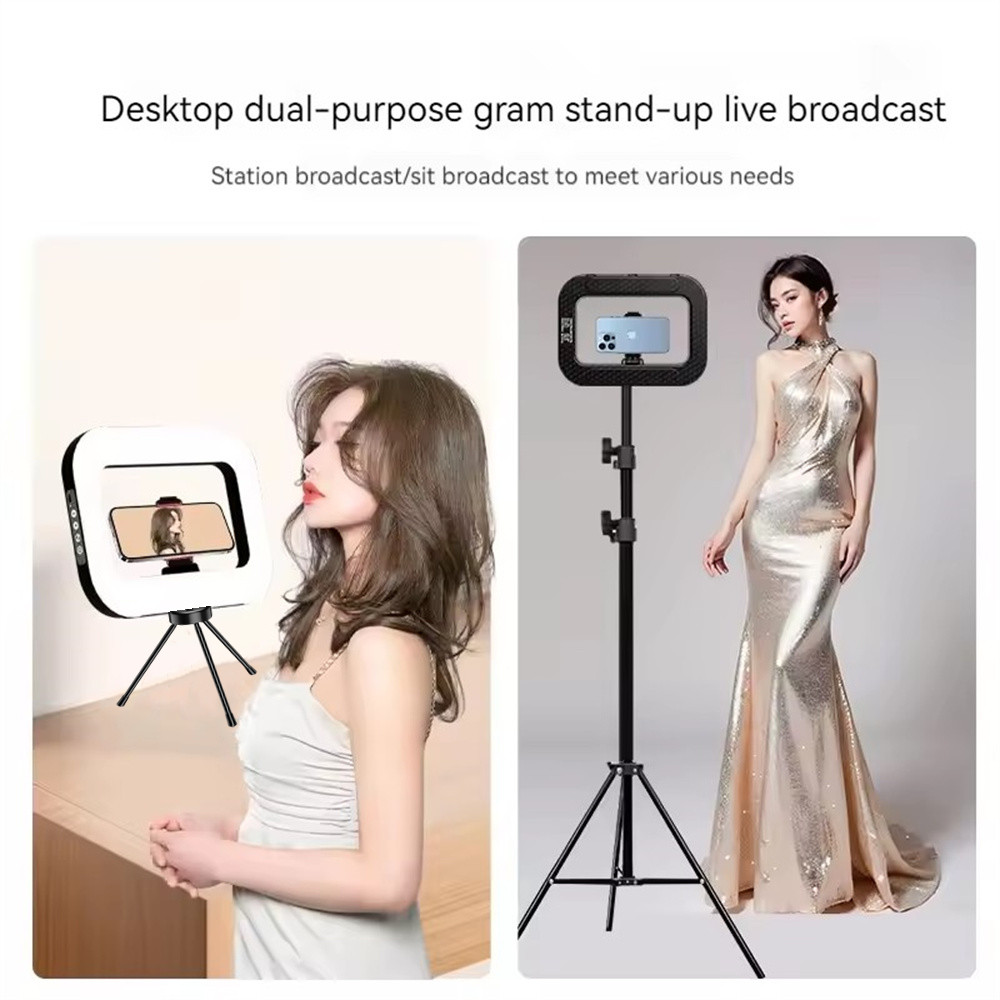 FANGTUOSI hand-held Fill Light - Photography Lighting For Indoor 评论和价格