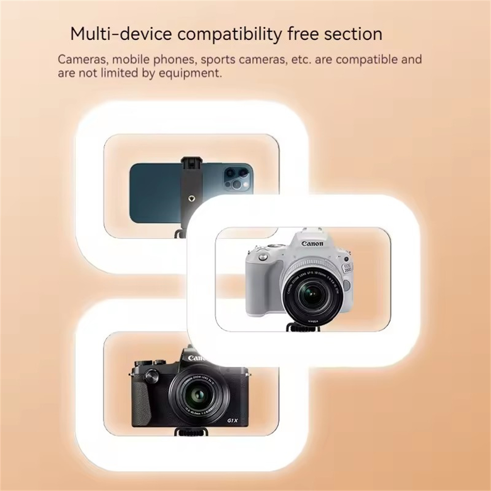 FANGTUOSI hand-held Fill Light - Photography Lighting For Indoor 评论和价格
