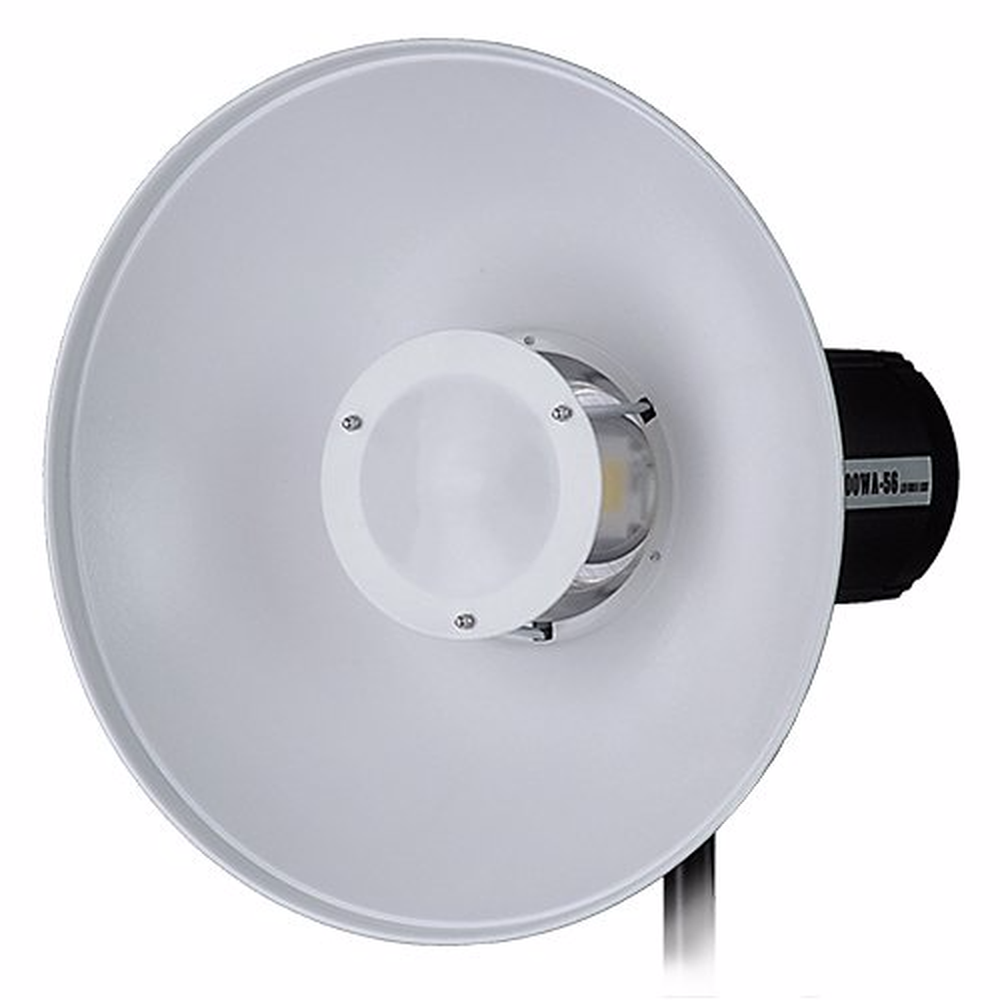 Pro Beauty Dish 16