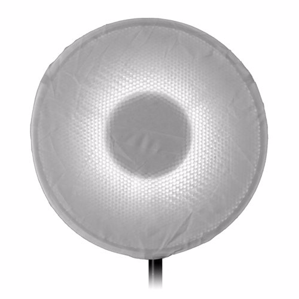 Pro Beauty Dish 16